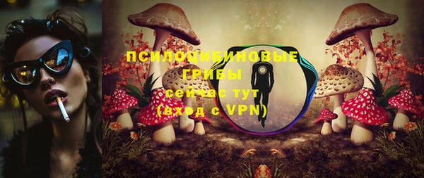 спайс Елабуга