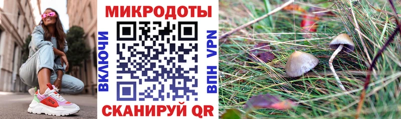 кракен вход  Орск  Галлюциногенные грибы Cubensis  дарнет шоп 